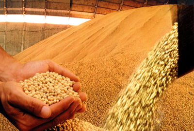 Conab estima colheita de 238 Banco de Imagens