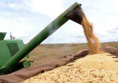 IBGE estima queda de 5 Agência Brasil