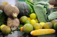 Orgânicos geram Fernando Frazão Agência Brasil