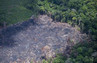 AGU ajuiza acoes de R Reproducao GreenPeace