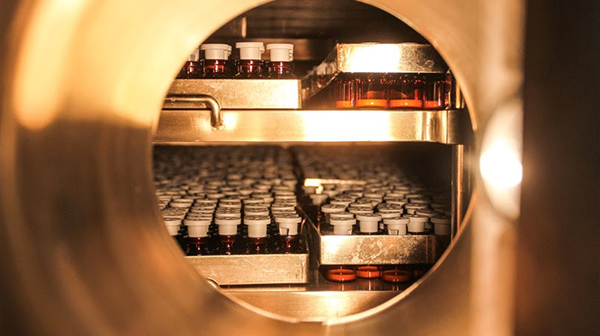 Empresas locais de produtos fármacos e hospitalares terão preferência em licitações