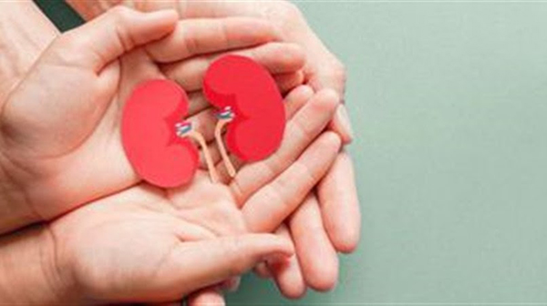 Estado deverá criar programa de qualidade da vida da mulher durante o climatério