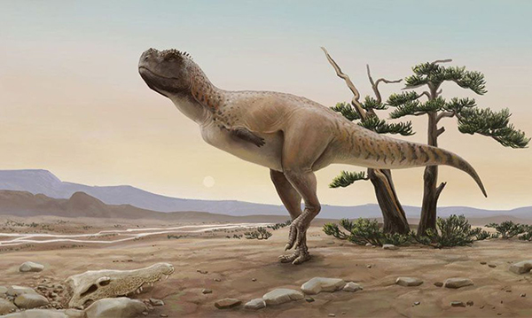Foto: Banco de Imagens Nova espécie de dinossauro carnívoro é descoberta em São Paulo