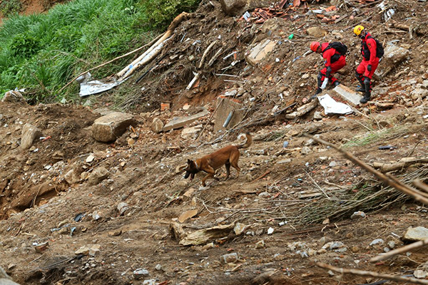 Tropa canina é fundamental no auxílio às buscas em Petrópolis