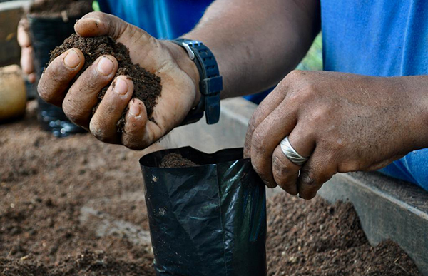 Foto: Banco de Imagens Projeto da Cedae conquista segundo lugar em prêmio internacional de sustentabilidade