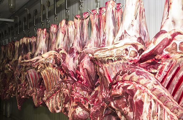 Vendas de carne bovina à China são suspensas após caso de vaca louca