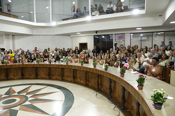 Foto: Banco de Imagens Homenagem às mulheres lota o plenário da Câmara de Duque de Caxias