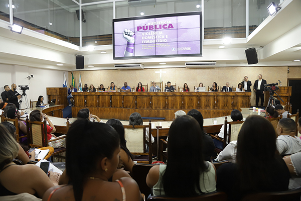 Celso do Alba promove audiência pública sobre feminicídio e violência doméstica