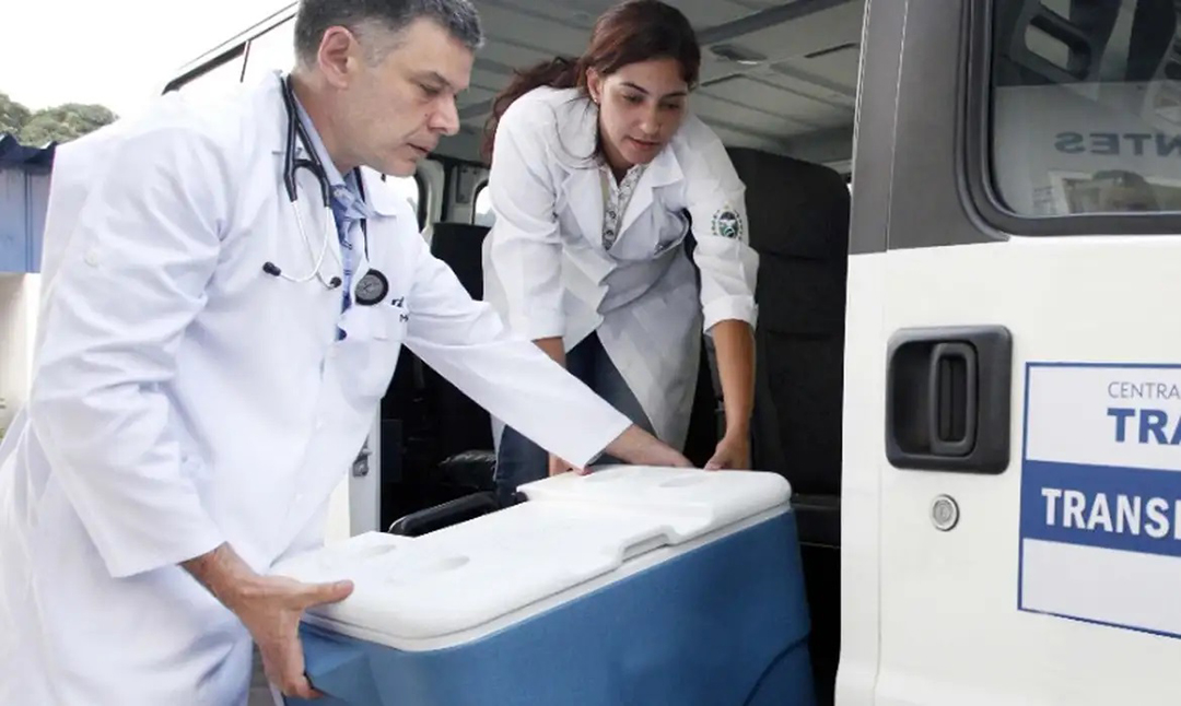 Foto: Banco de Imagens Transplantes são seguros e salvam vidas, afirmam entidades