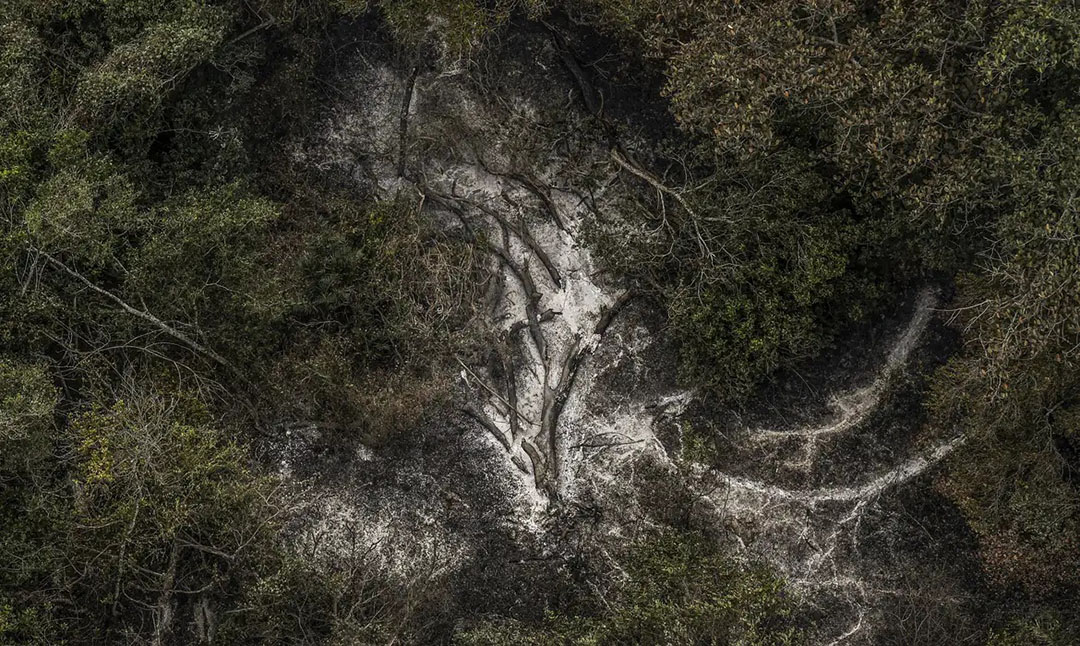 Foto: Marcelo Camargo/Agência Brasil AGU cobra R$ 725 milhões de acusados por danos ambientais no Pantanal