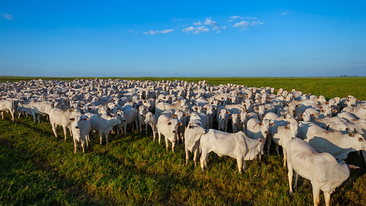 Foto: Reprodução/GOVBR Atividade econômica brasileira cresce 2,5% em 2025