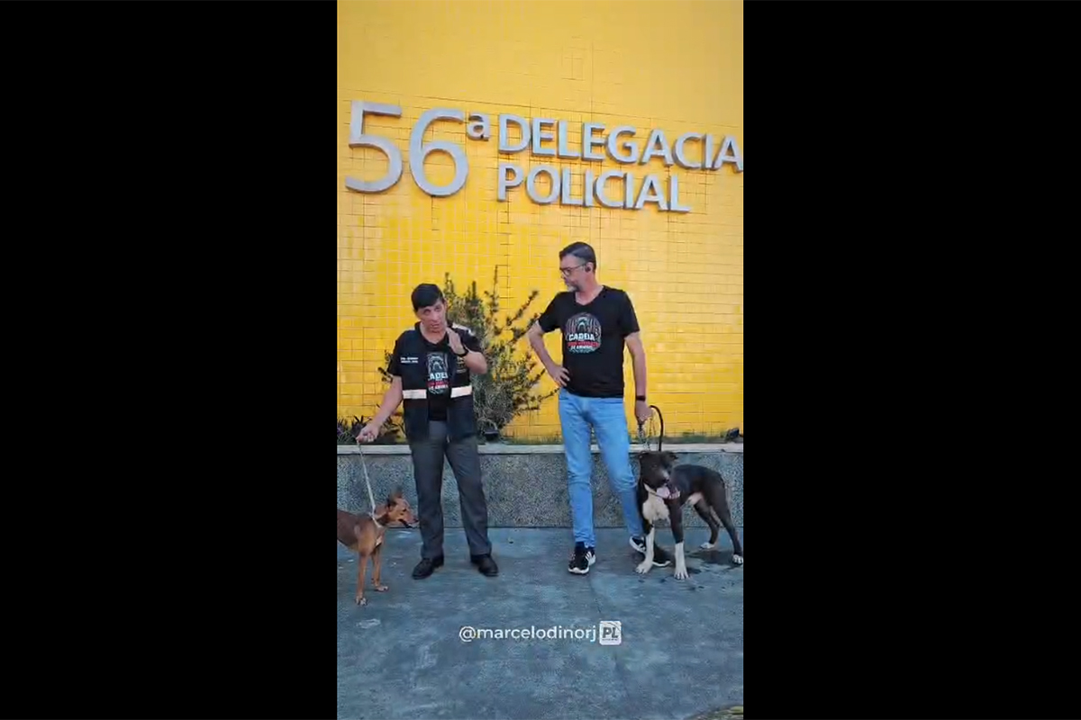 Foto: Reprodução 'Comissão dos Animais' da Alerj prende homem por maus-tratos e resgata cães